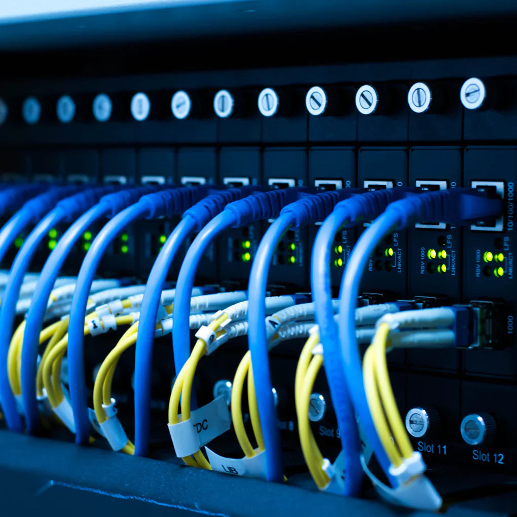 Row of Ethernet cables connecting to network switches, a key component in networking devices.