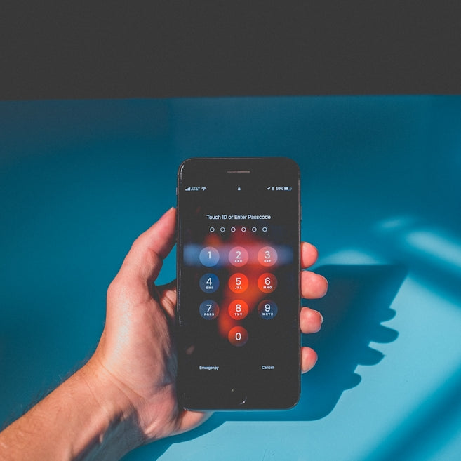 person holding iPhone