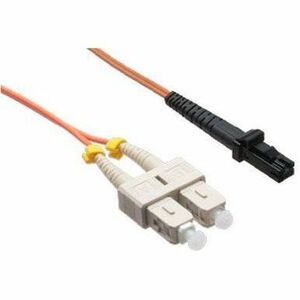 235768977.jpg