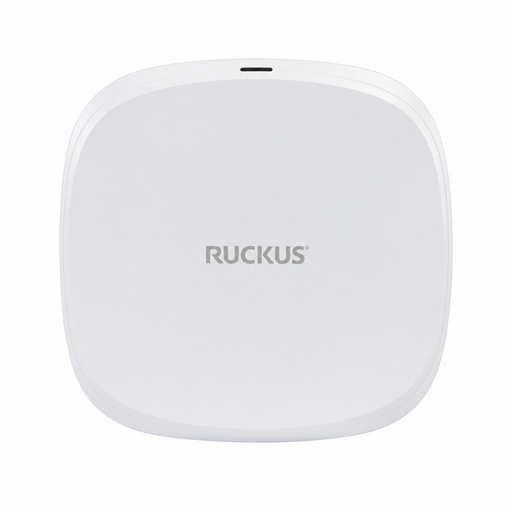 RUCKUS 901-R770-US00 exact product image